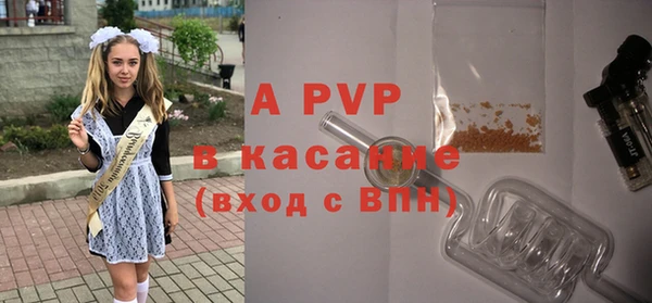 apvp Бородино